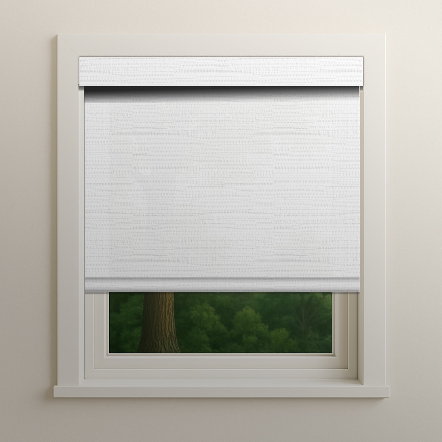 Monticello 1901 - 0%